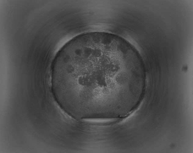 X0000093580925200710221500