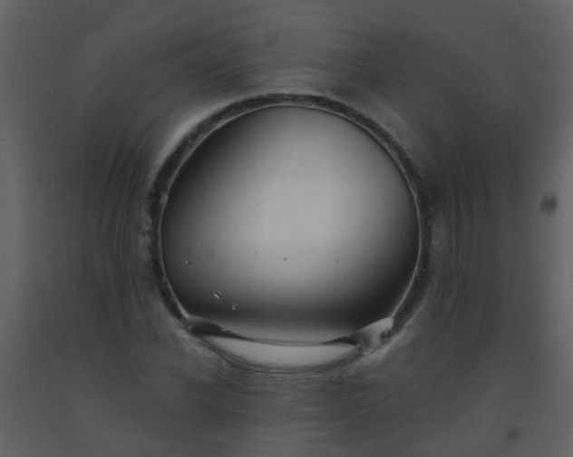 X0000093580926200710221500