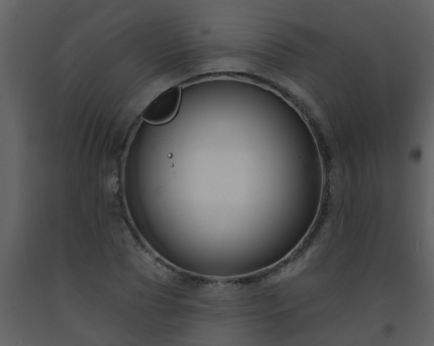 X0000093580929200710221500