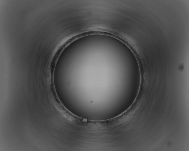 X0000093580931200710221500