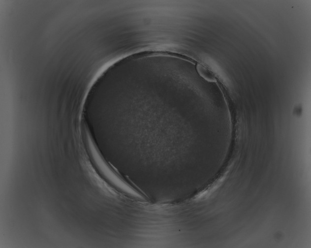 X0000093580932200710221500