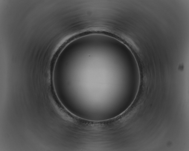X0000093580934200710221500