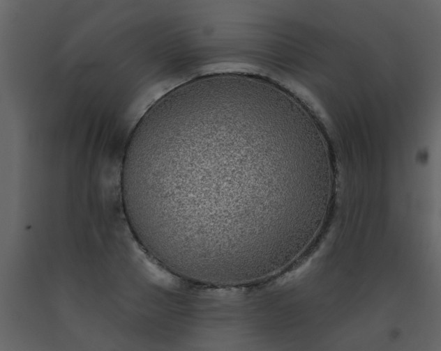 X0000093580937200710221500