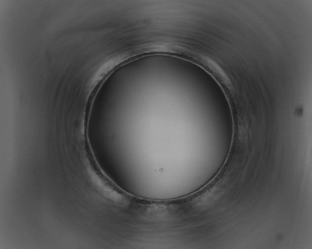 X0000093580938200710221500