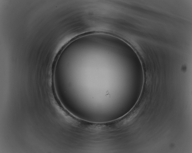 X0000093580939200710221500