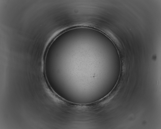 X0000093580940200710221500