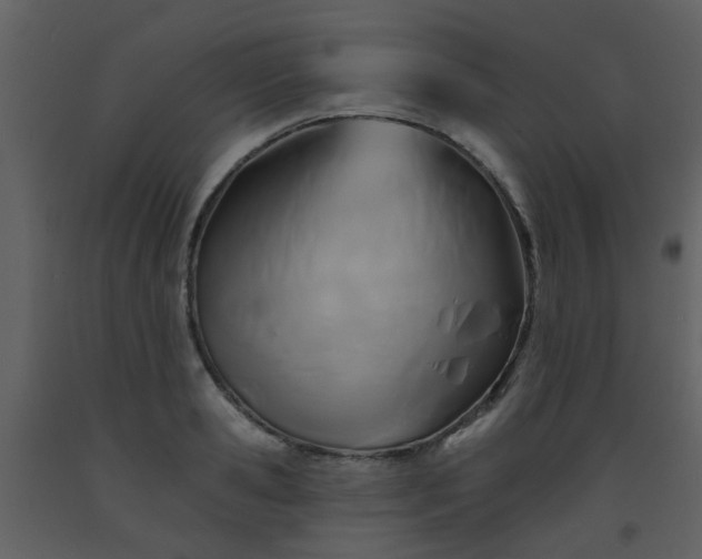 X0000093580941200710221500