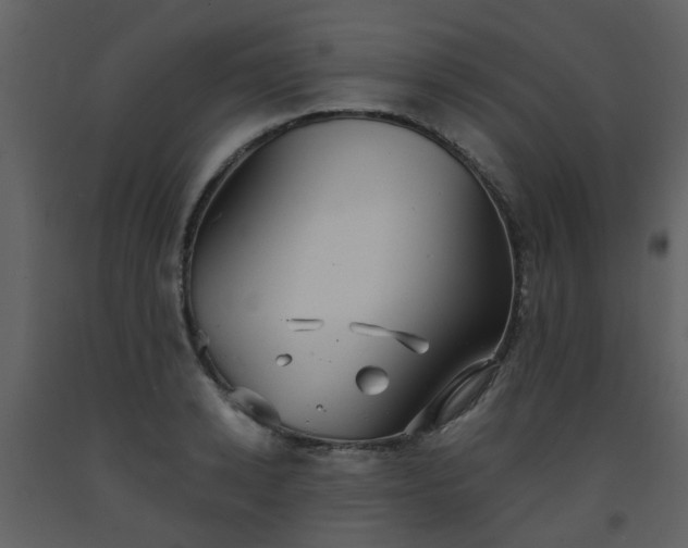 X0000093580942200710221500