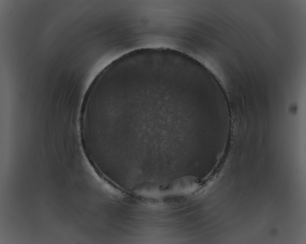 X0000093580943200710221500