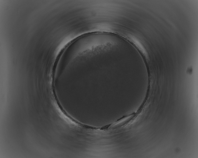 X0000093580944200710221500