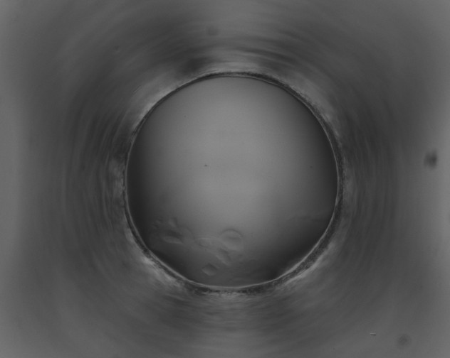 X0000093580945200710221500