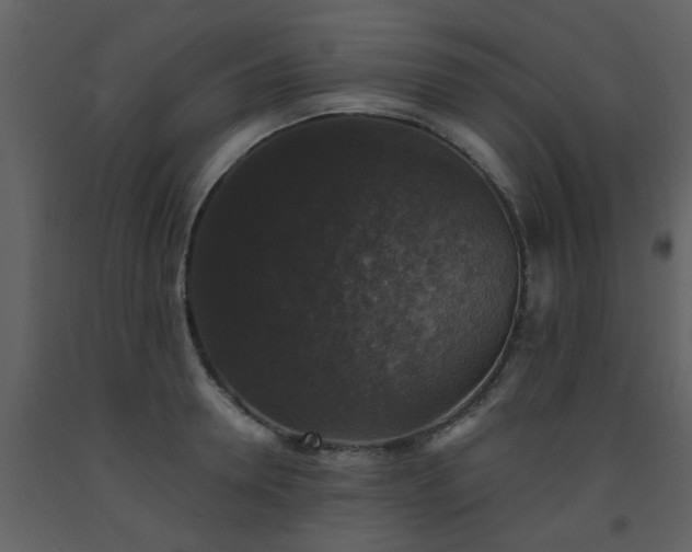 X0000093580946200710221500