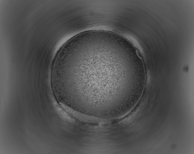 X0000093580952200710221500