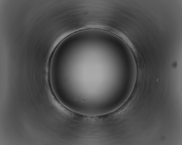 X0000093580955200710221500