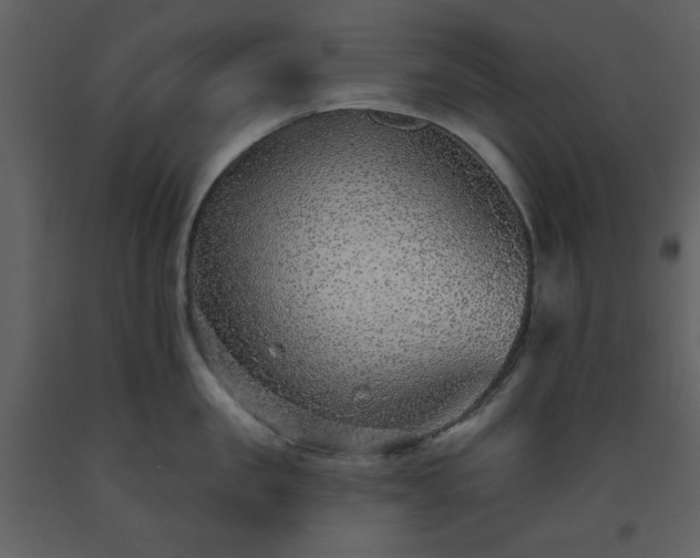 X0000093580957200710221501