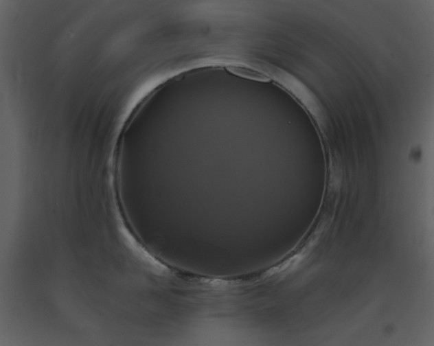 X0000093580958200710221501