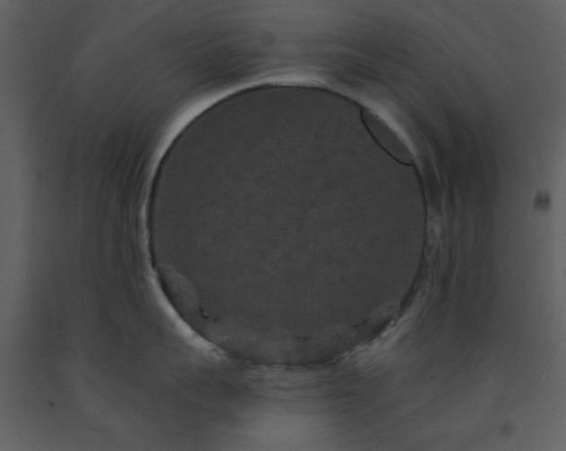 X0000093580959200710221501