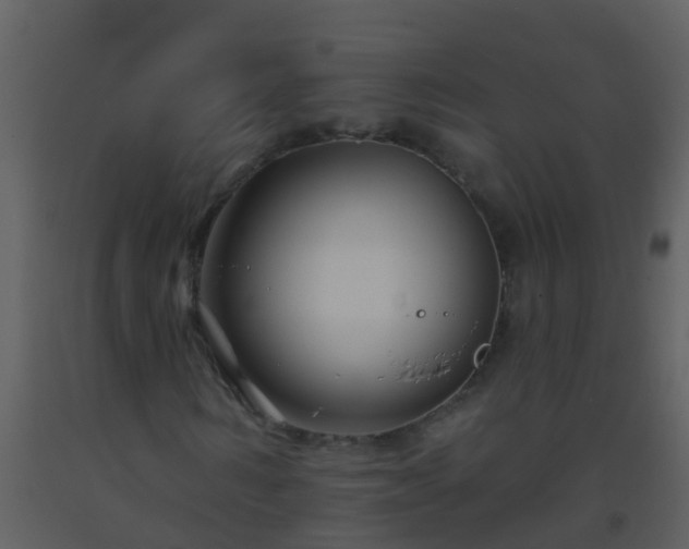 X0000093580962200710221500