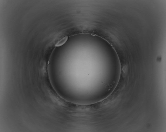 X0000093580963200710221500