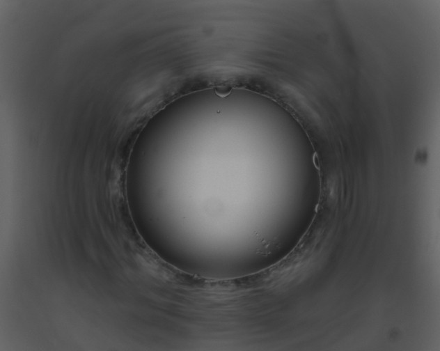 X0000093580964200710221500