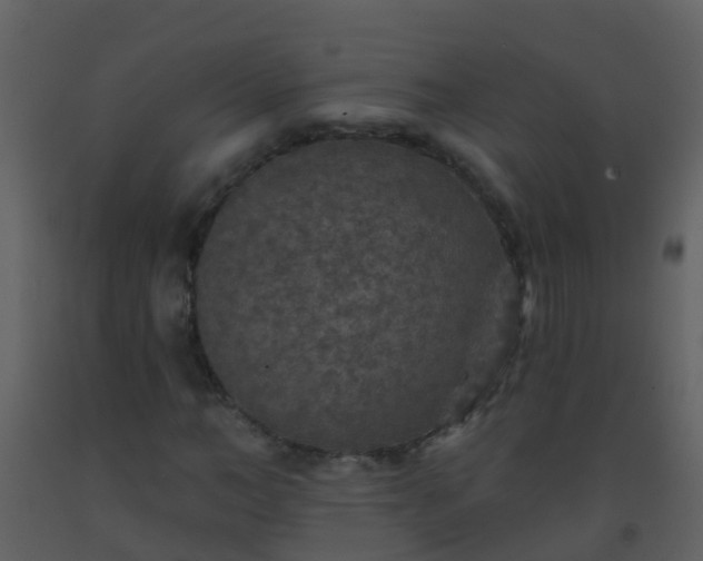 X0000093580966200710221500