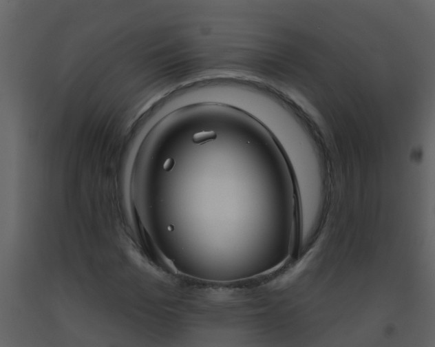 X0000093580969200710221500