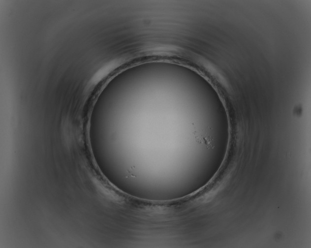 X0000093580970200710221500