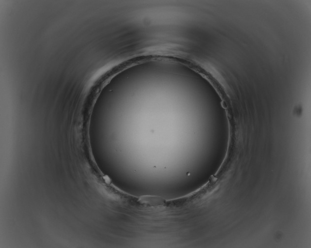 X0000093580971200710221500