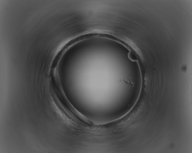 X0000093580972200710221500
