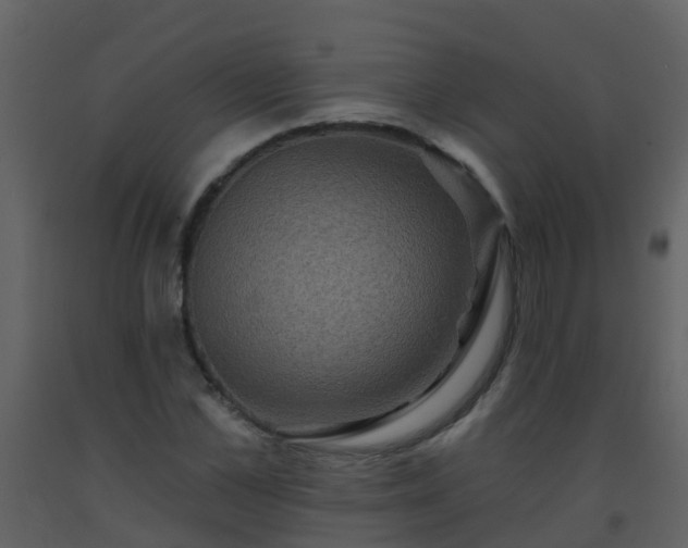 X0000093580973200710221500