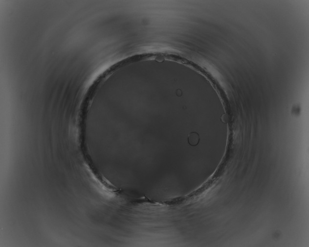 X0000093580975200710221500