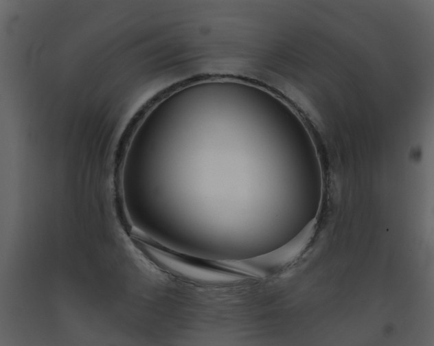 X0000093580976200710221500