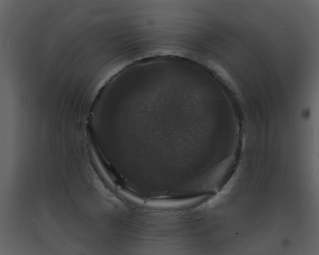 X0000093580977200710221500