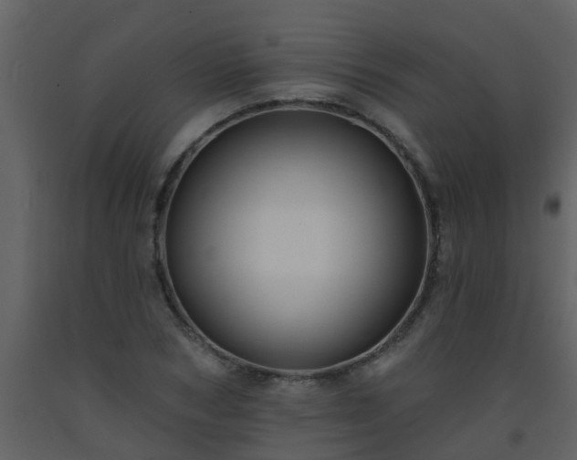 X0000093580978200710221500