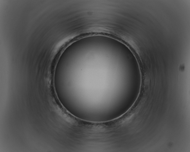 X0000093580979200710221500