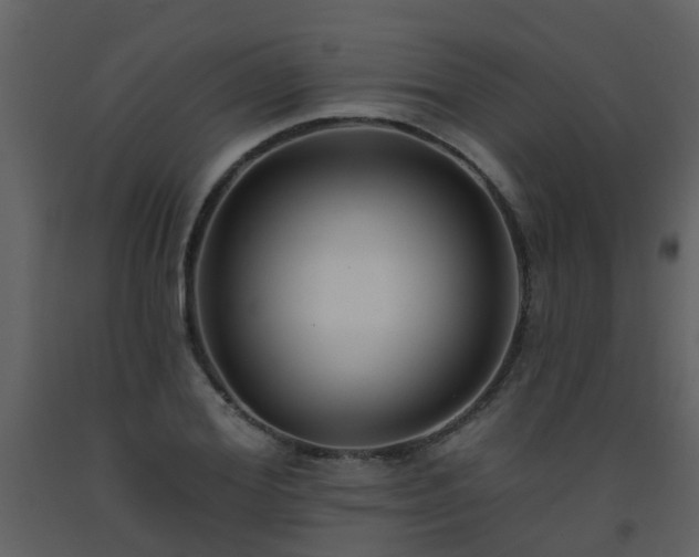 X0000093580980200710221500
