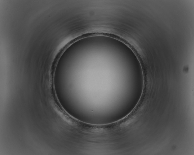 X0000093580982200710221500