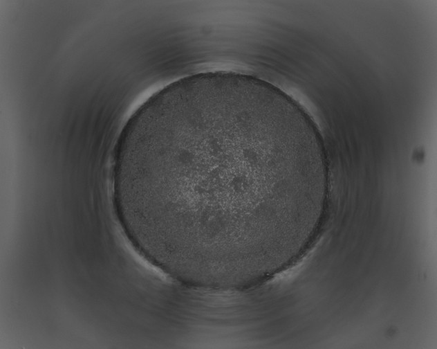 X0000093580983200710221500