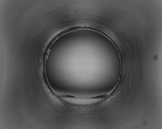 X0000093580984200710221500
