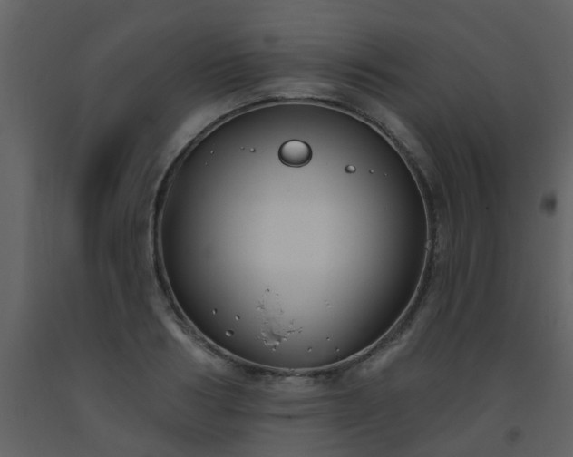 X0000093580986200710221500