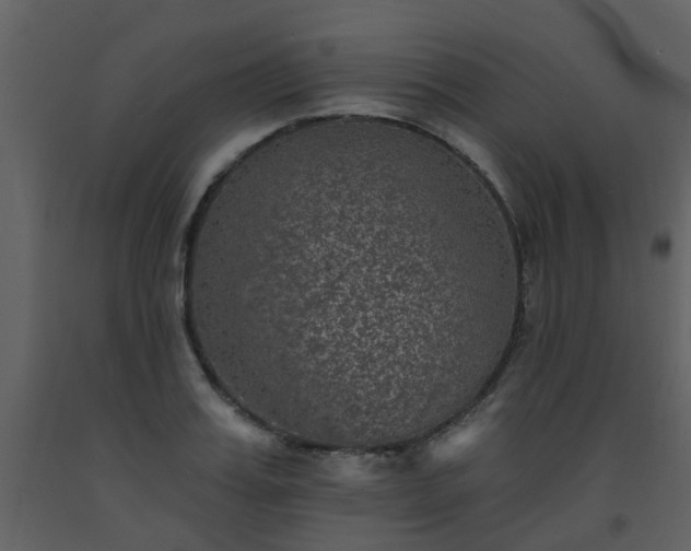 X0000093580987200710221500