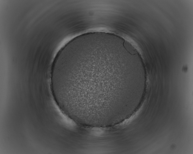 X0000093580989200710221500