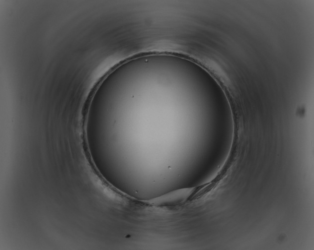 X0000093580990200710221500