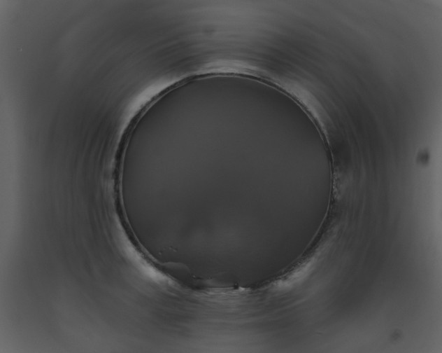 X0000093580995200710221500