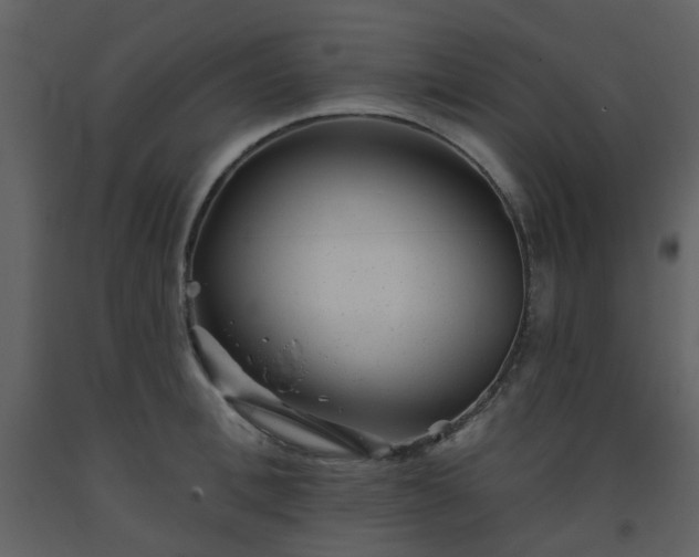 X0000093580996200710221459