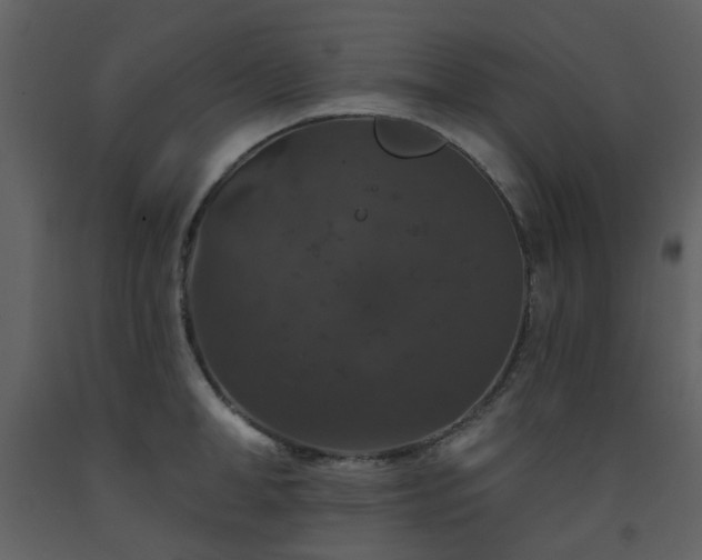 X0000093580998200710221459