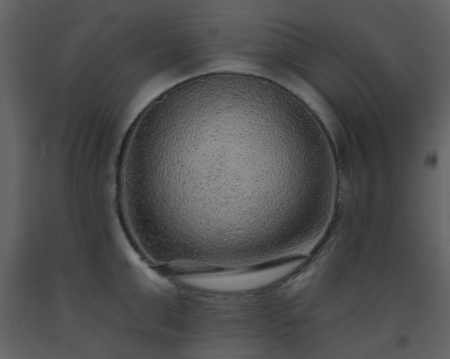 X0000093580999200710221459