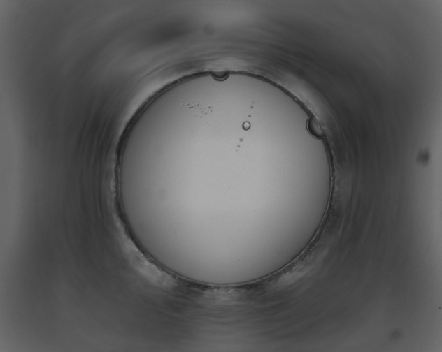 X0000093581000200710221459