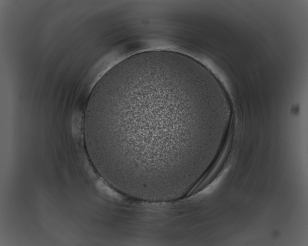 X0000093581001200710221459