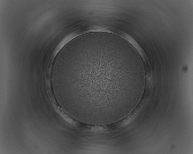 X0000093581002200710221459